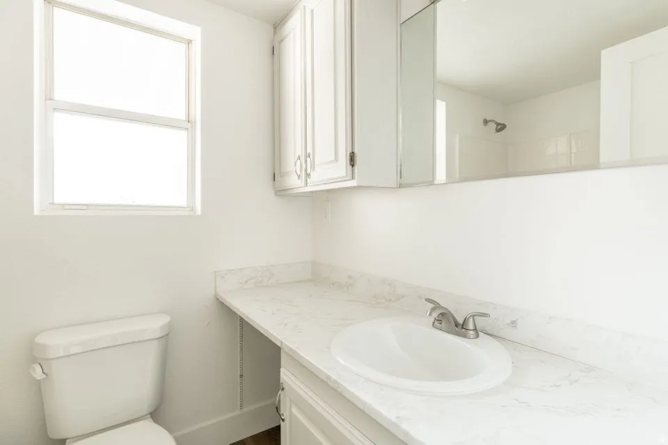 Full bath featuring vanity and a shower