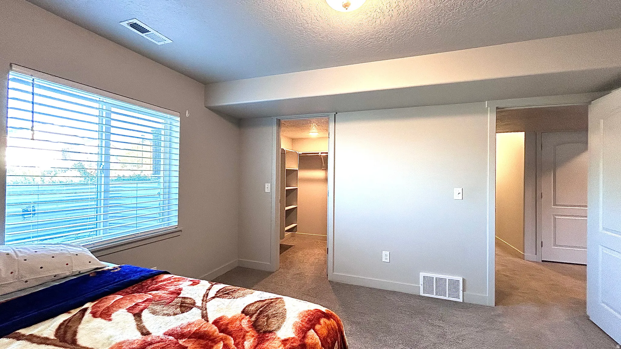 Bedroom featuring carpet flooring, a spacious closet, and a textured ceiling