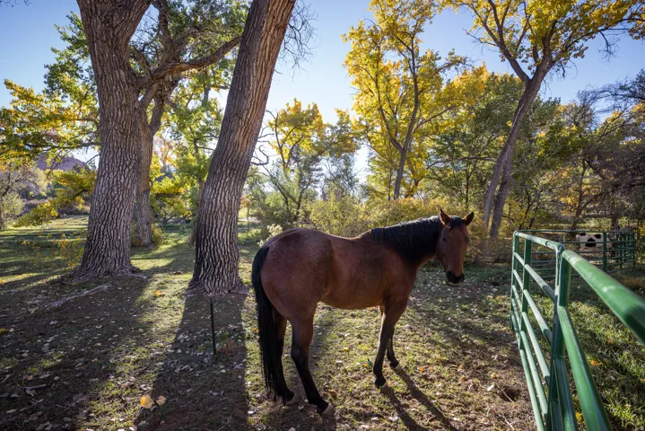 2927 S East Bench Rd, Moab, Utah 84532