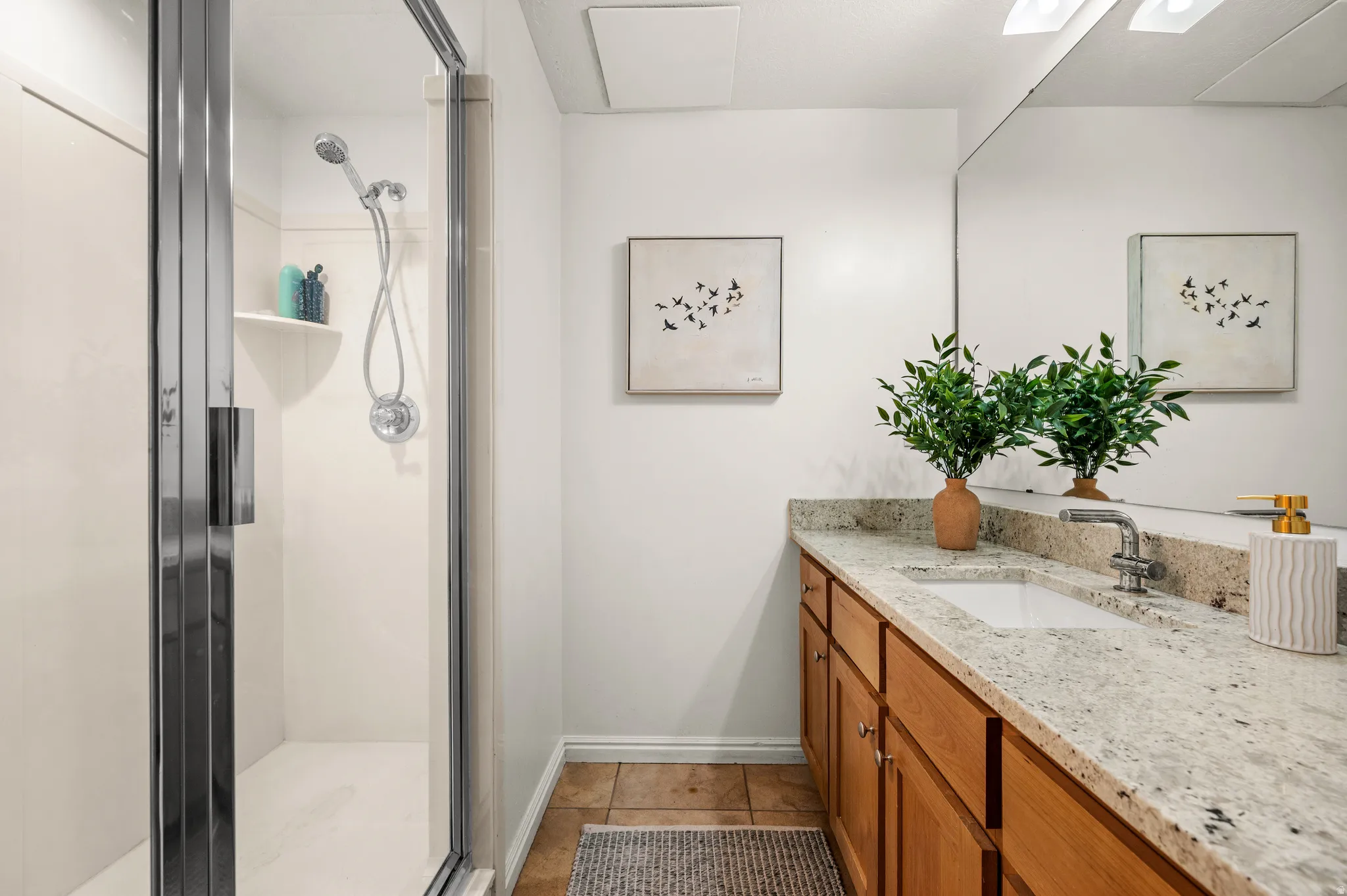 Mail-floor guest bath with large walk-in shower