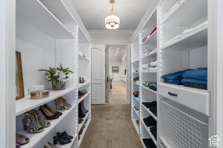 Spacious closet featuring light colored carpet