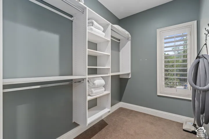 Walk in closet with light colored carpet