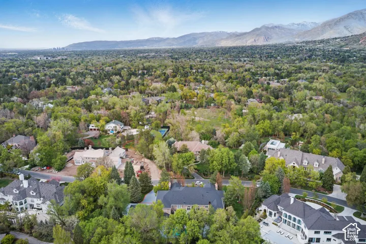 Aerial view of residential area with a mountain backdrop
