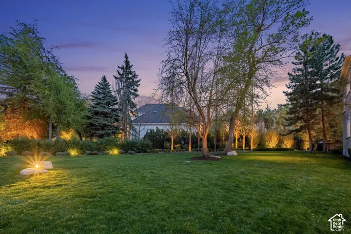 Yard at dusk with a yard