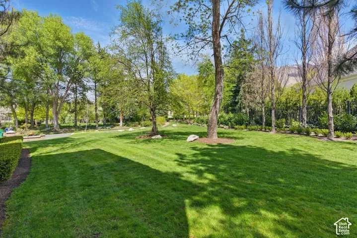 View of yard featuring view of scattered trees