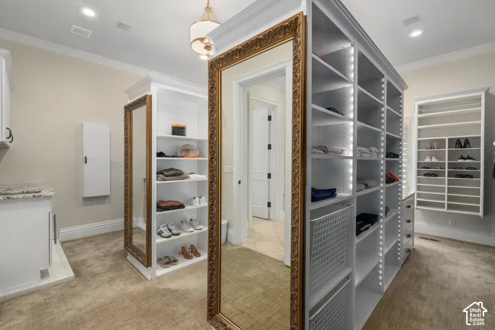 Walk in closet with light colored carpet