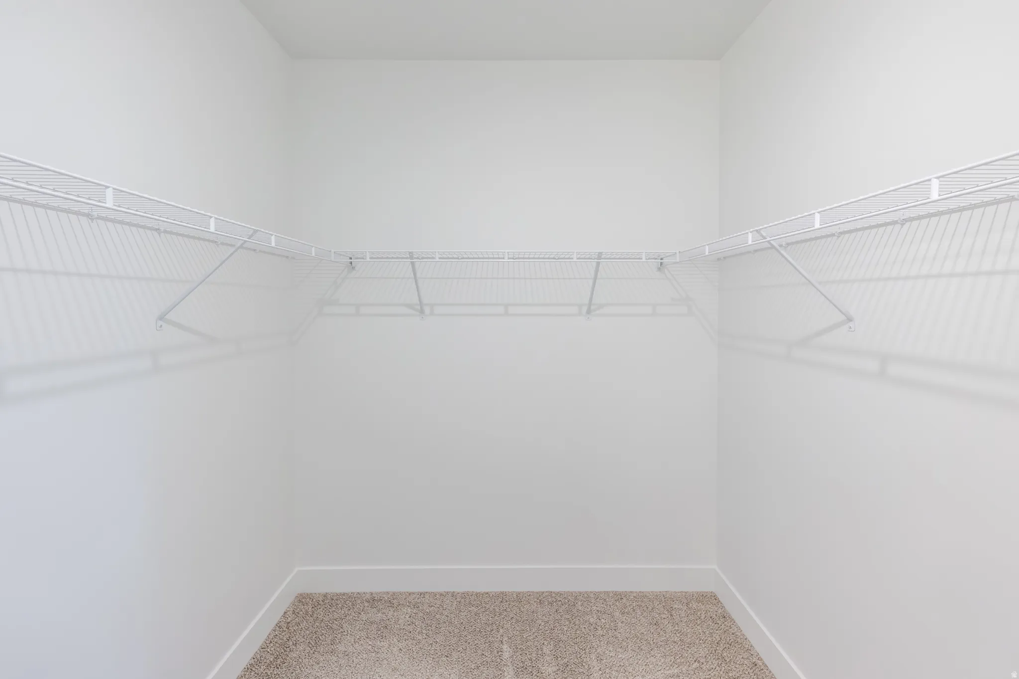 Walk in closet with light colored carpet