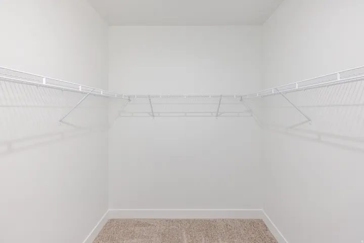 Walk in closet featuring light carpet