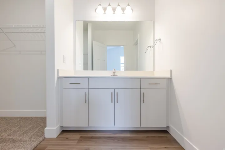Bathroom with vanity, a walk in closet, and light wood-type flooring
