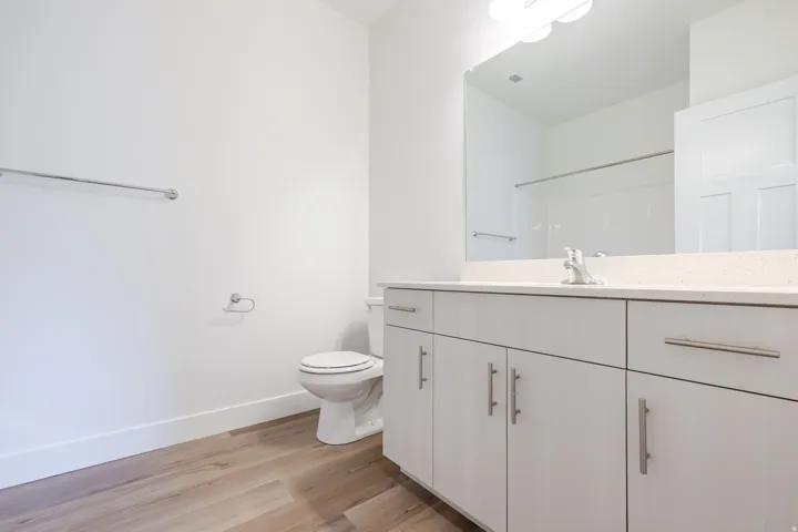 Full bath with vanity, light wood-style flooring, and a shower