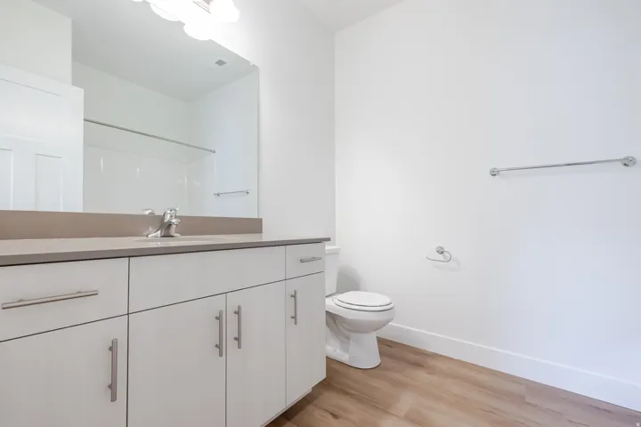 Bathroom featuring vanity, light wood finished floors, and a shower