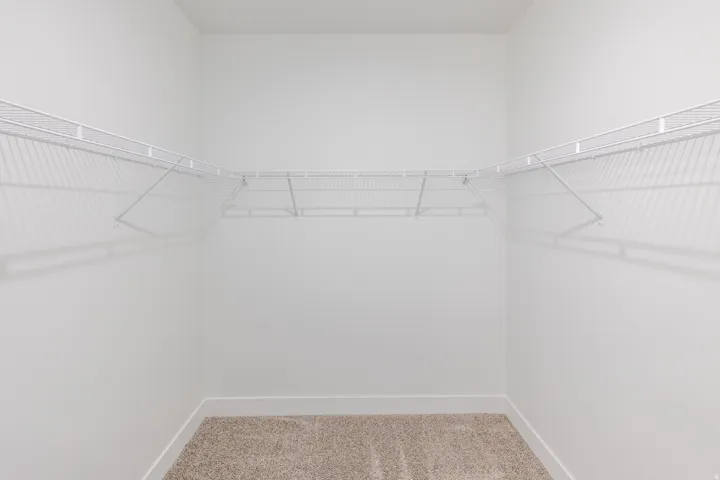 Walk in closet featuring light colored carpet