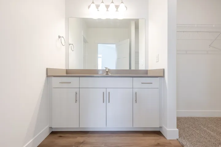 Bathroom featuring vanity, a spacious closet, and light wood-style floors