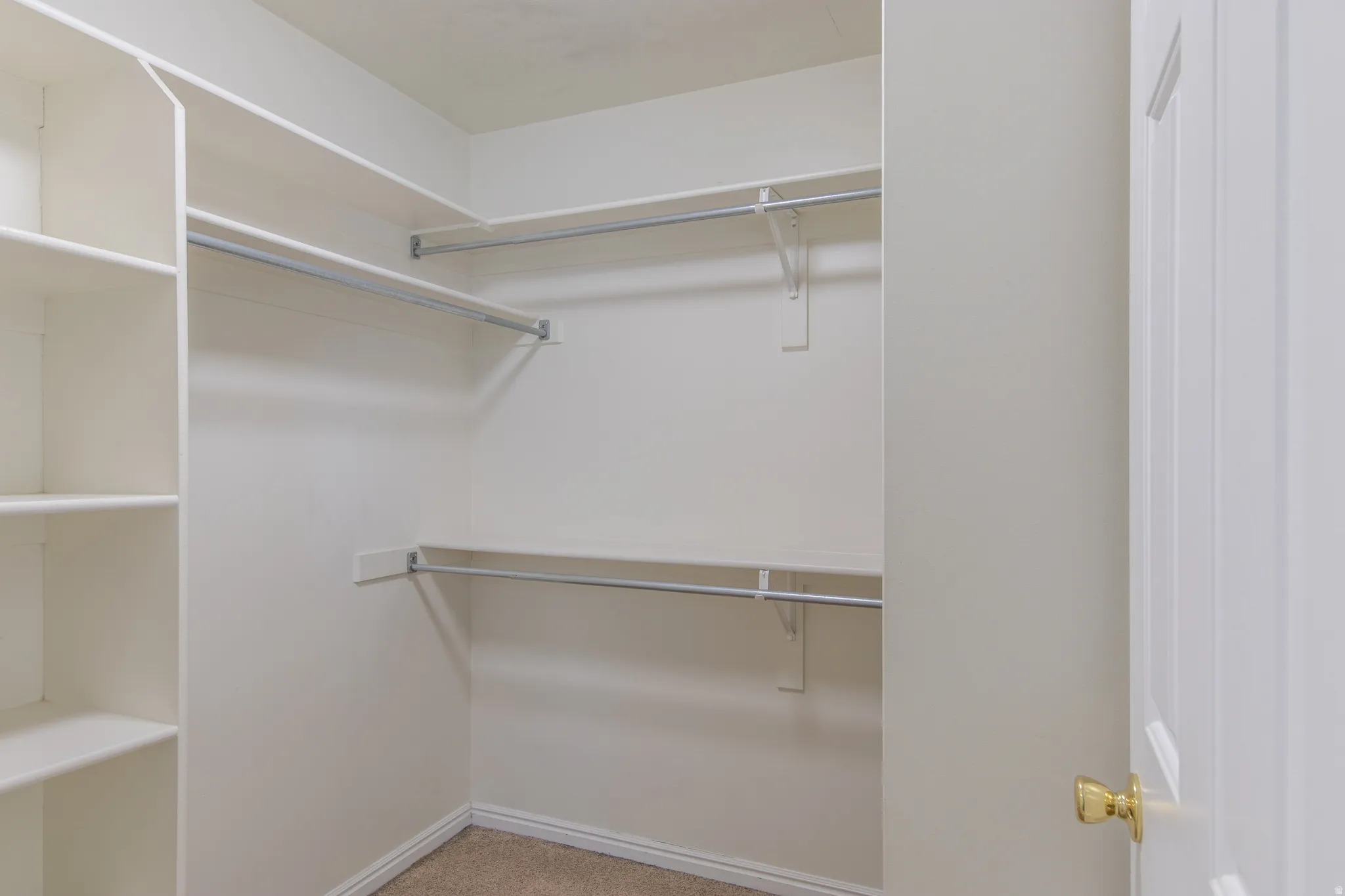 Spacious closet featuring light carpet