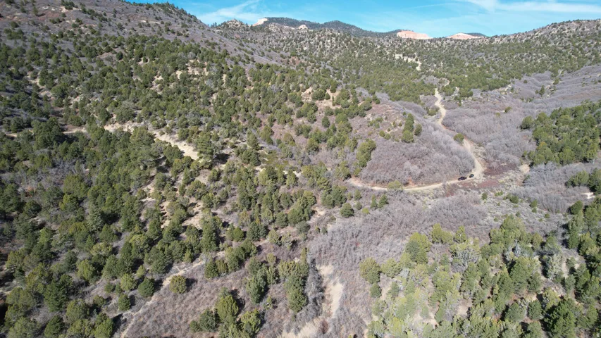 View of mountain backdrop with a heavily wooded area