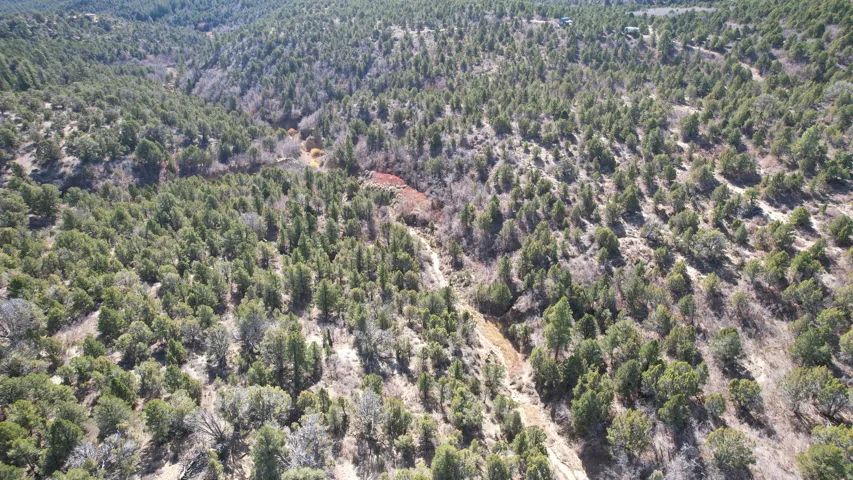 Aerial view of property's location