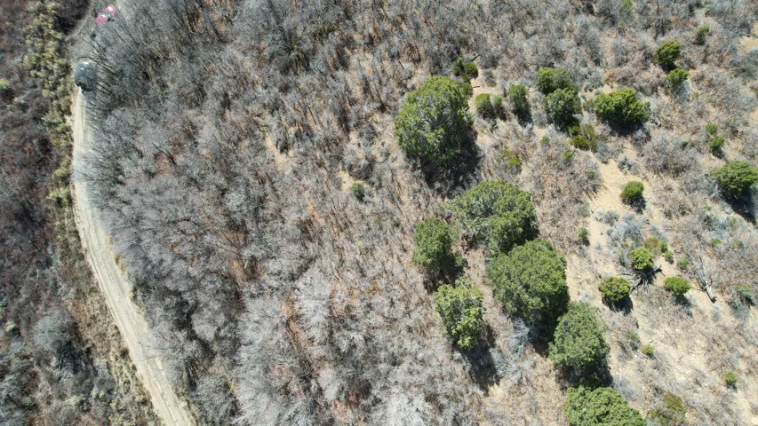 Aerial view of property's location