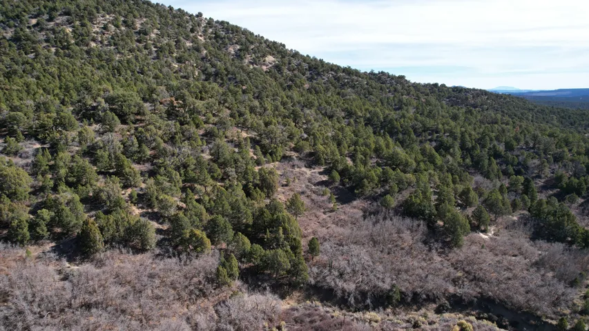 View of mountain backdrop