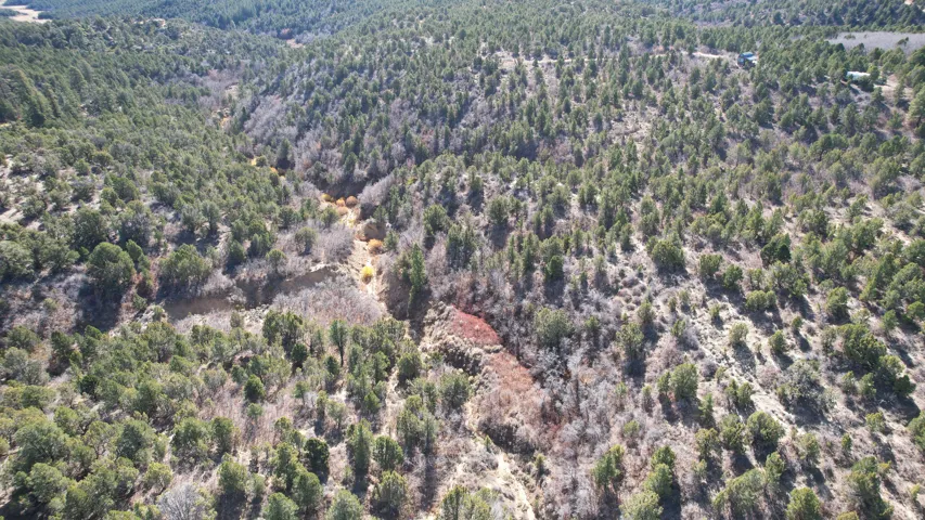 Aerial view of property's location