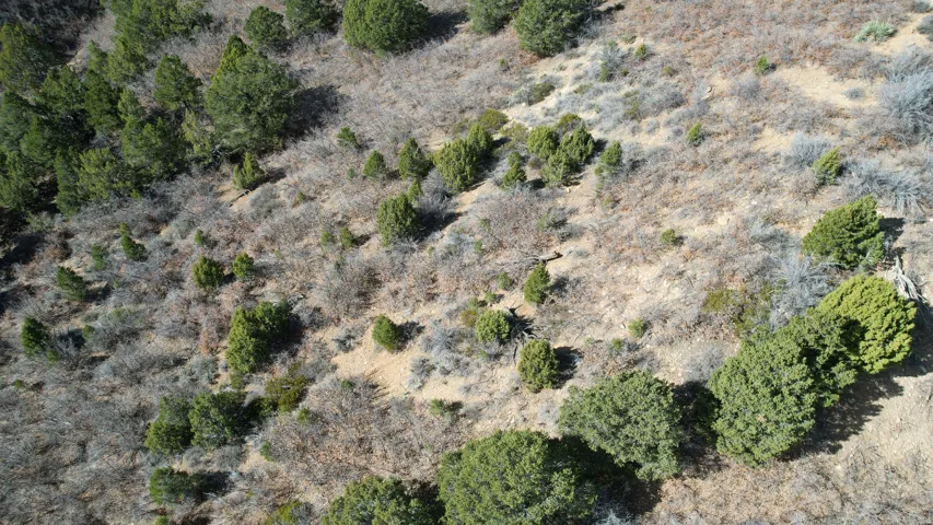 Aerial overview of property's location featuring rural landscape