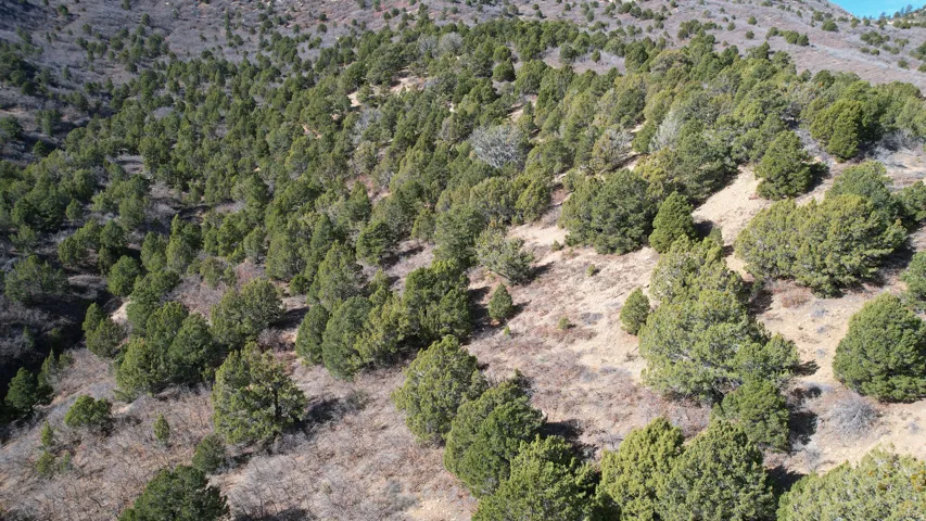 View of property location