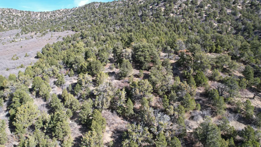 Aerial overview of property's location