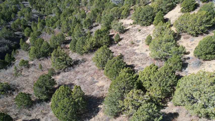 Aerial view of property and surrounding area