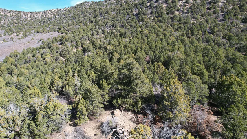 View of property location