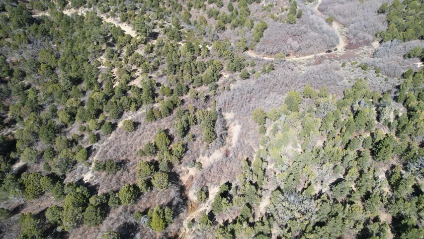 Aerial view of property's location with a forest
