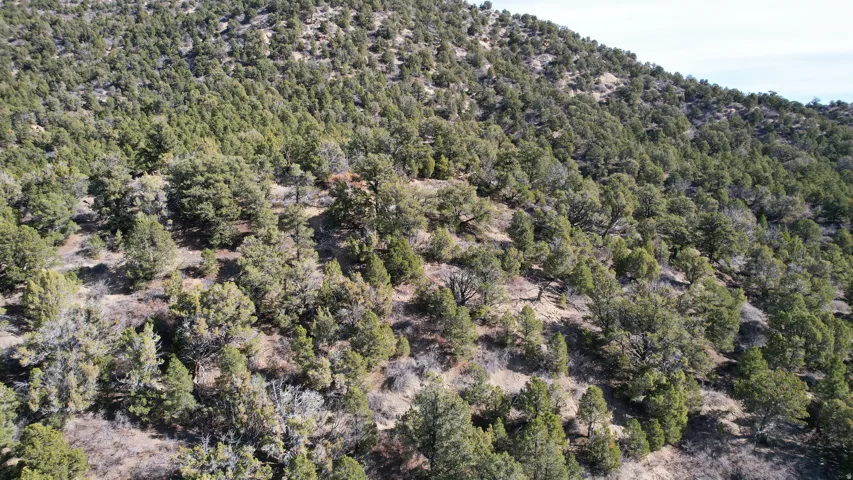 Aerial view of property's location with mountains