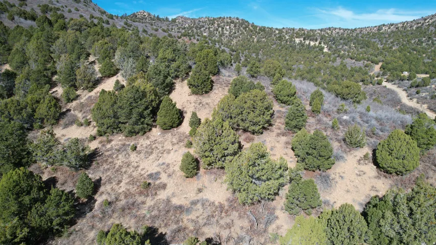 Aerial overview of property's location with mountains