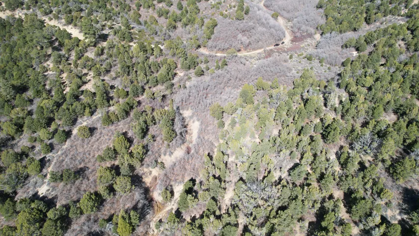 Aerial overview of property's location with a forest