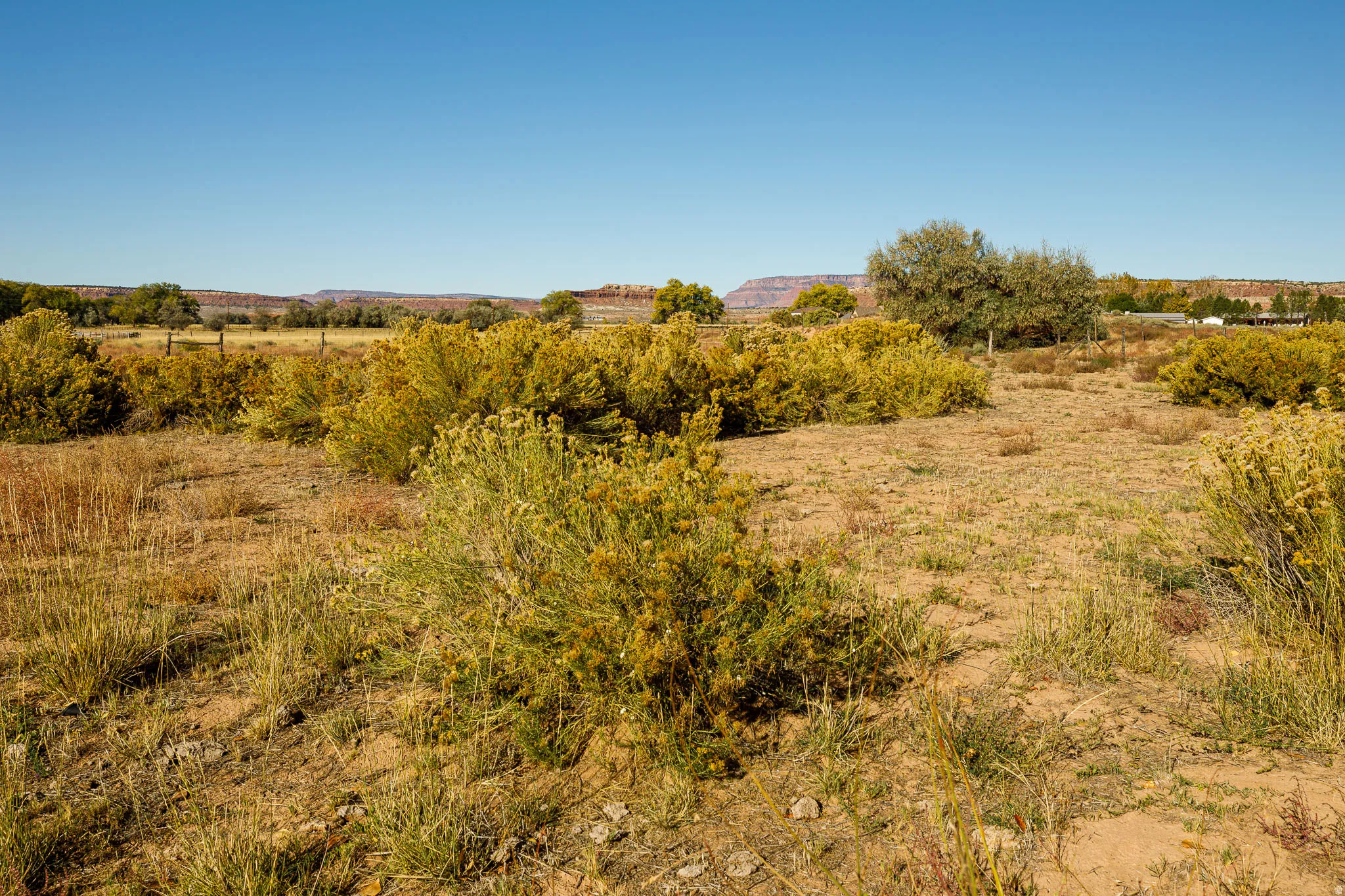 View of local wilderness with rural landscape