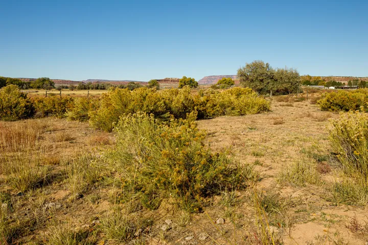 View of local wilderness with rural landscape