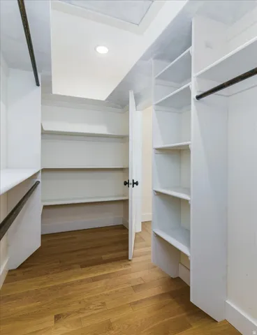 Spacious closet with light wood-style flooring