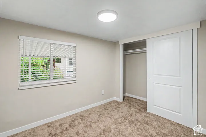 Window with blinds, wall-to-wall carpeting, and a sliding closet door