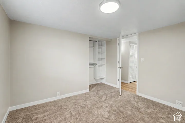 Plush carpeting, recessed closet with built-in shelving, white walls, and a ceiling-mounted light fixture