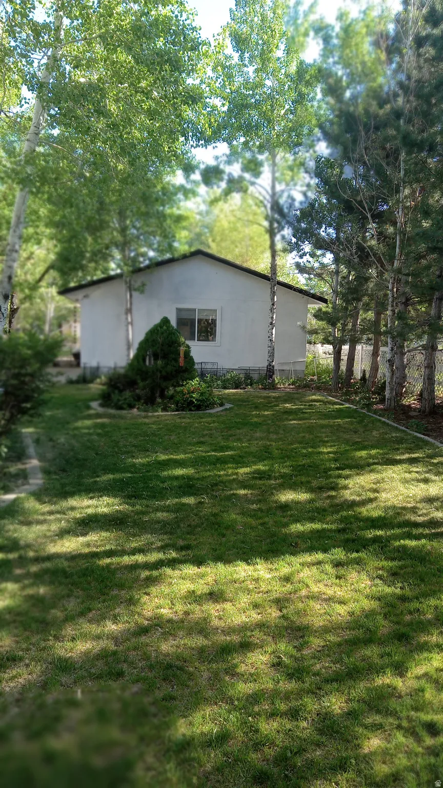 View of green lawn