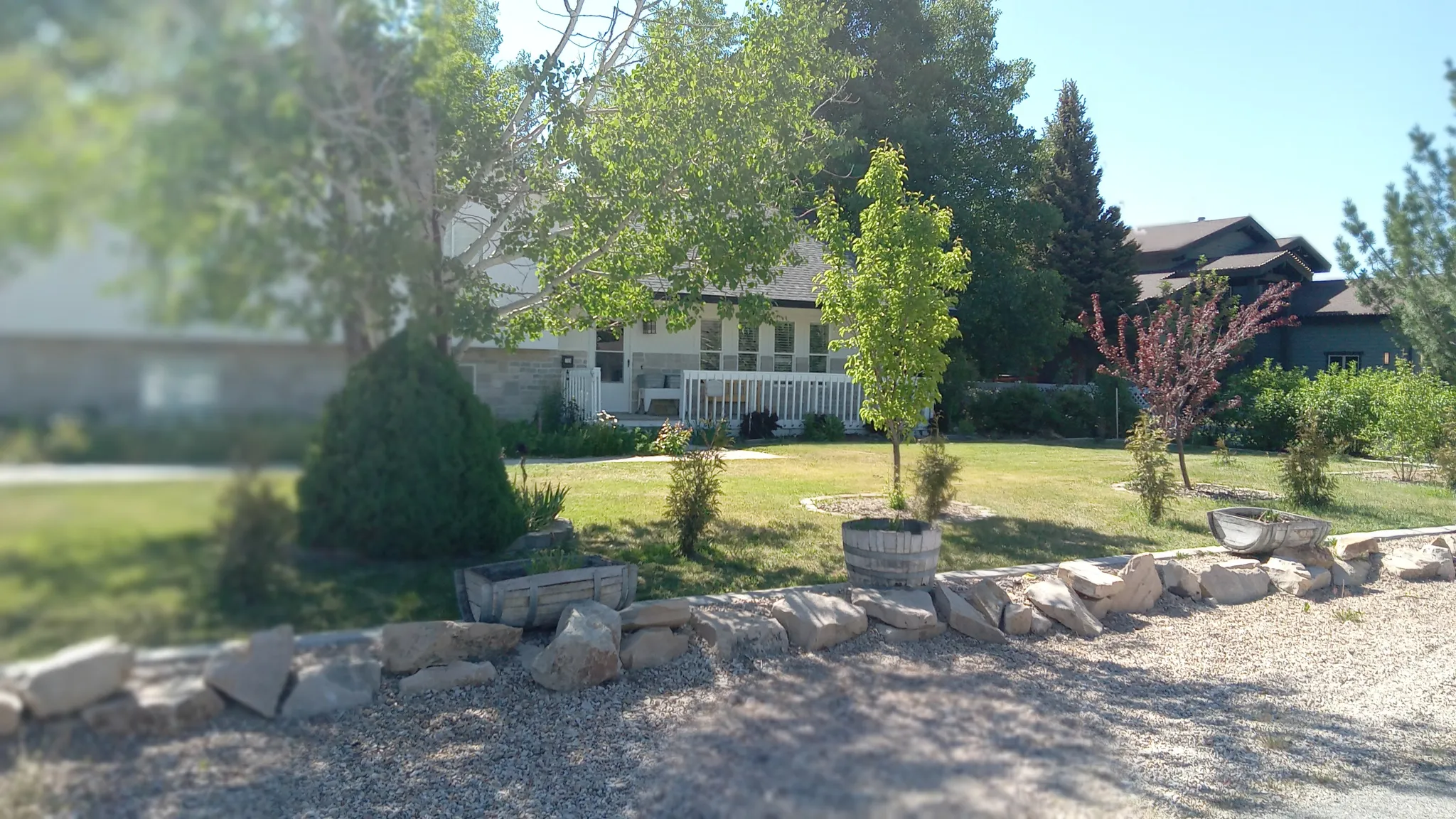 View of grassy yard