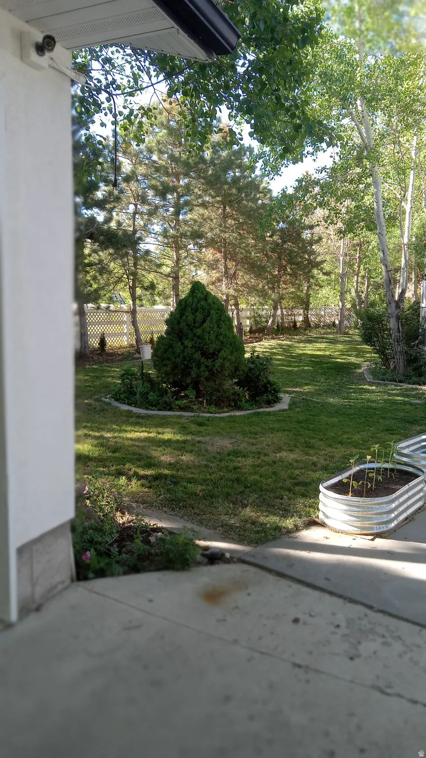 View of grassy yard