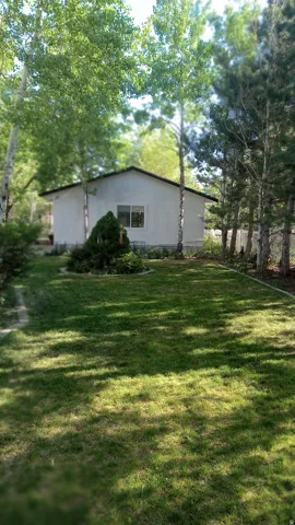 View of green lawn