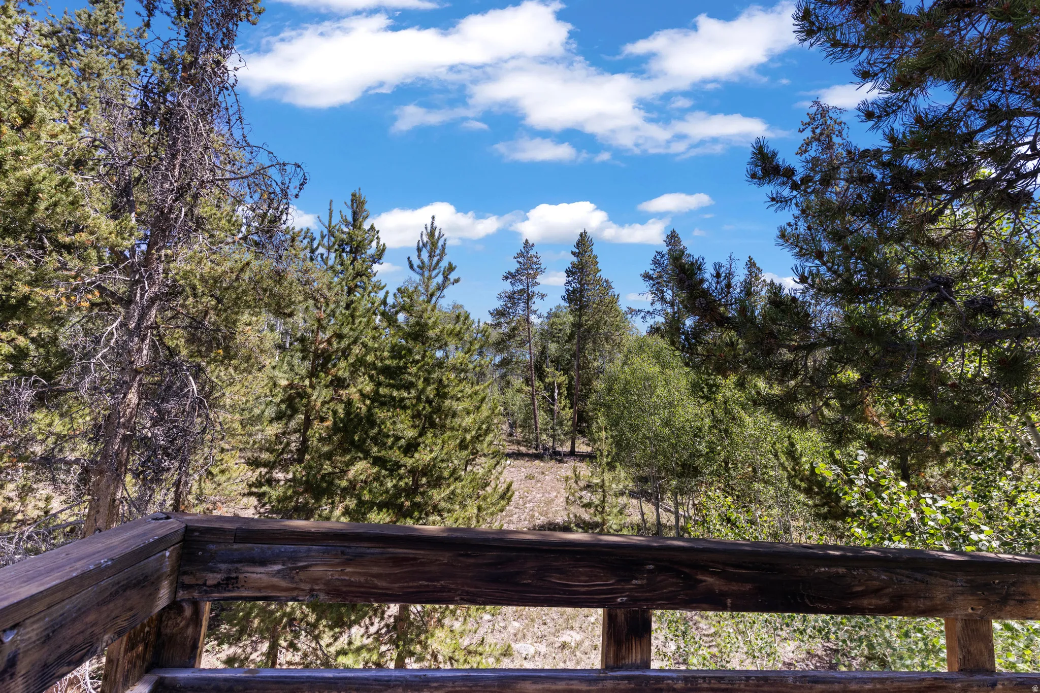 Exterior space with a forest