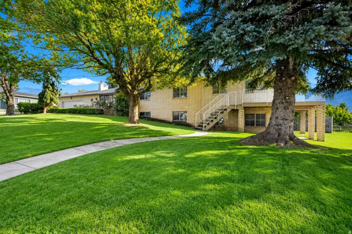 Expansive green lawn with mature trees and a curved concrete pathway