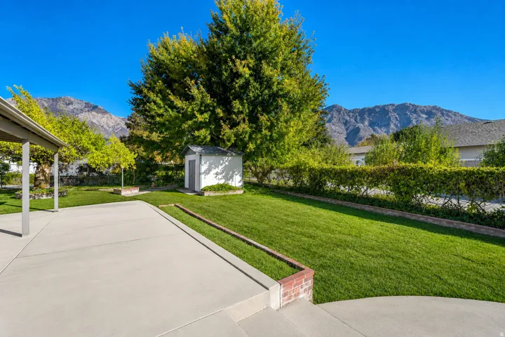 Expansive backyard with a concrete patio, lush green lawn, mature trees, and a storage shed