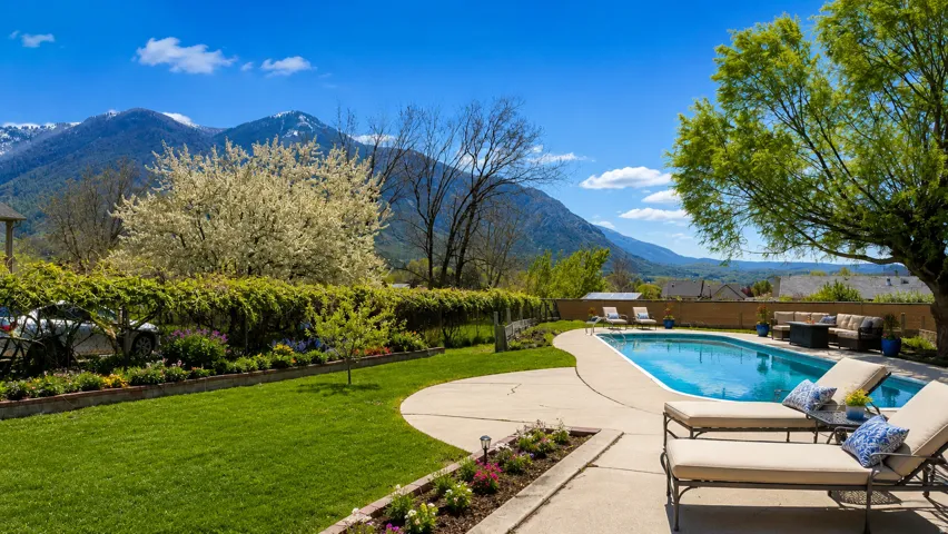 Swimming pool with a curved concrete deck, surrounded by a manicured lawn and mature landscaping