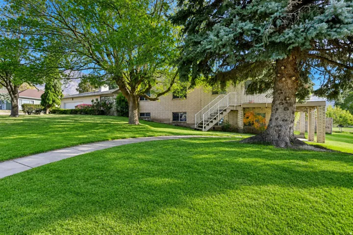 Expansive lawn with mature trees and a curved concrete pathway leading to the residence