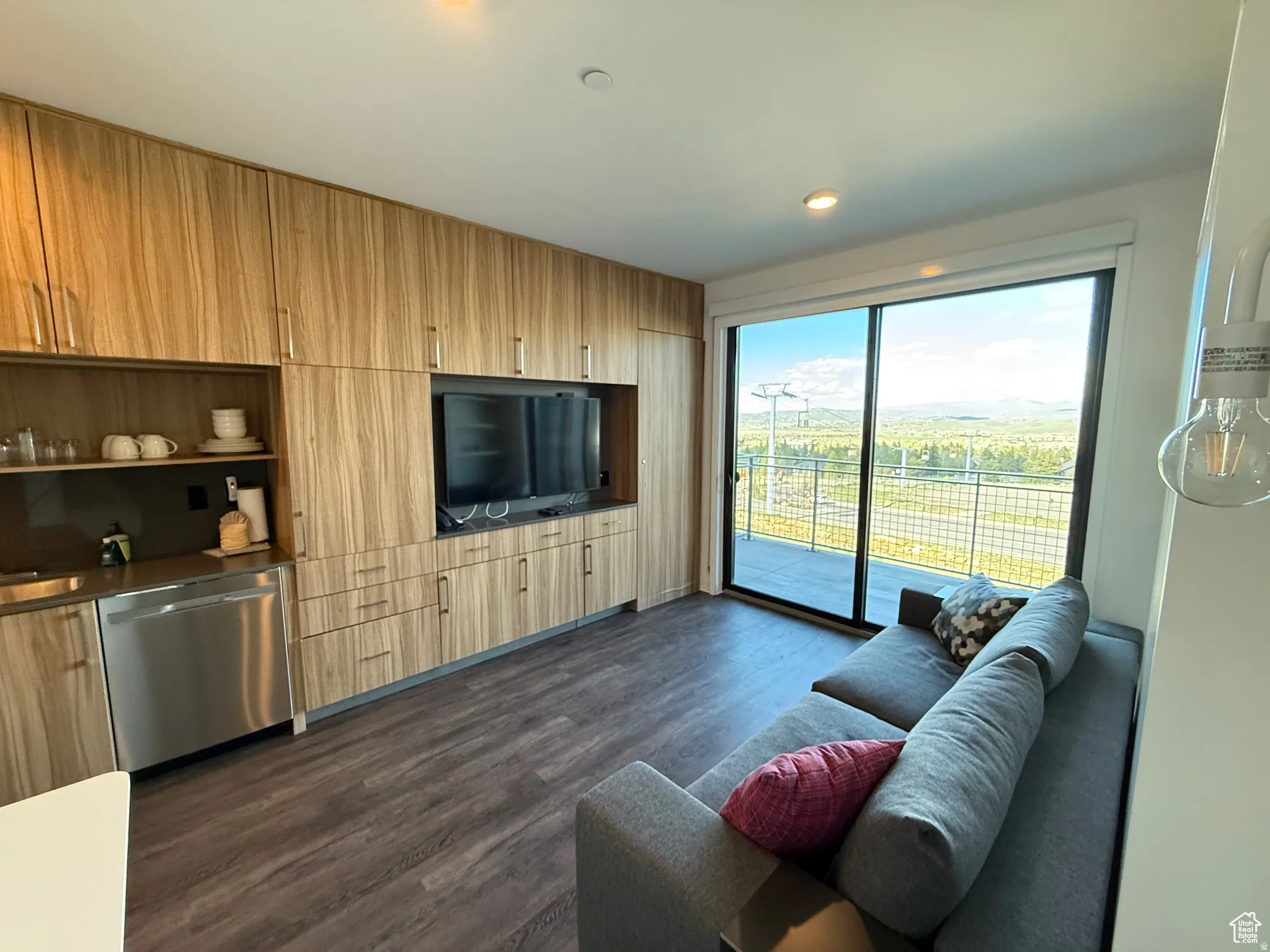 Living area featuring dark wood-type flooring and recessed lighting