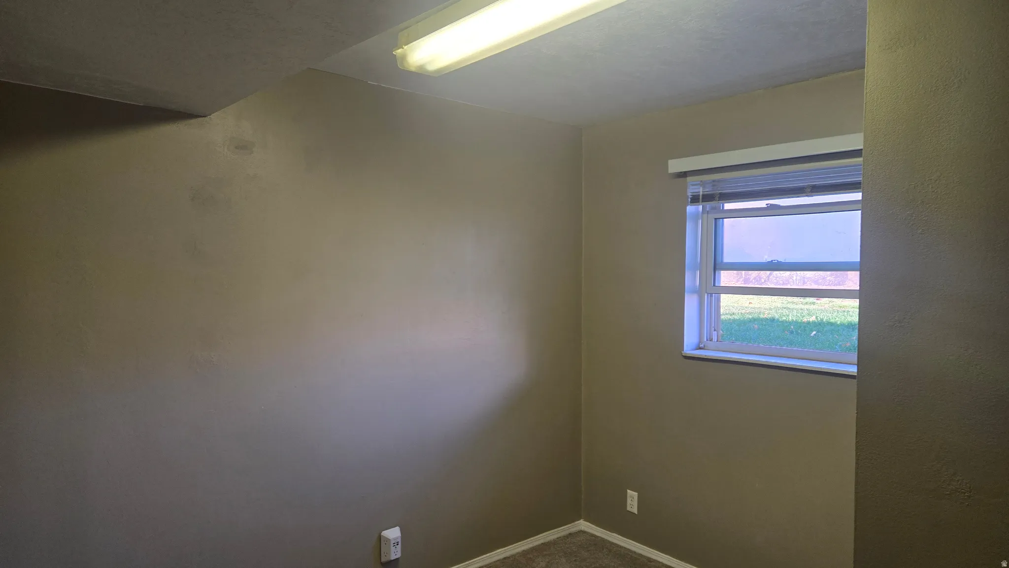 Fourth Bedroom (downstairs) with carpet and baseboards