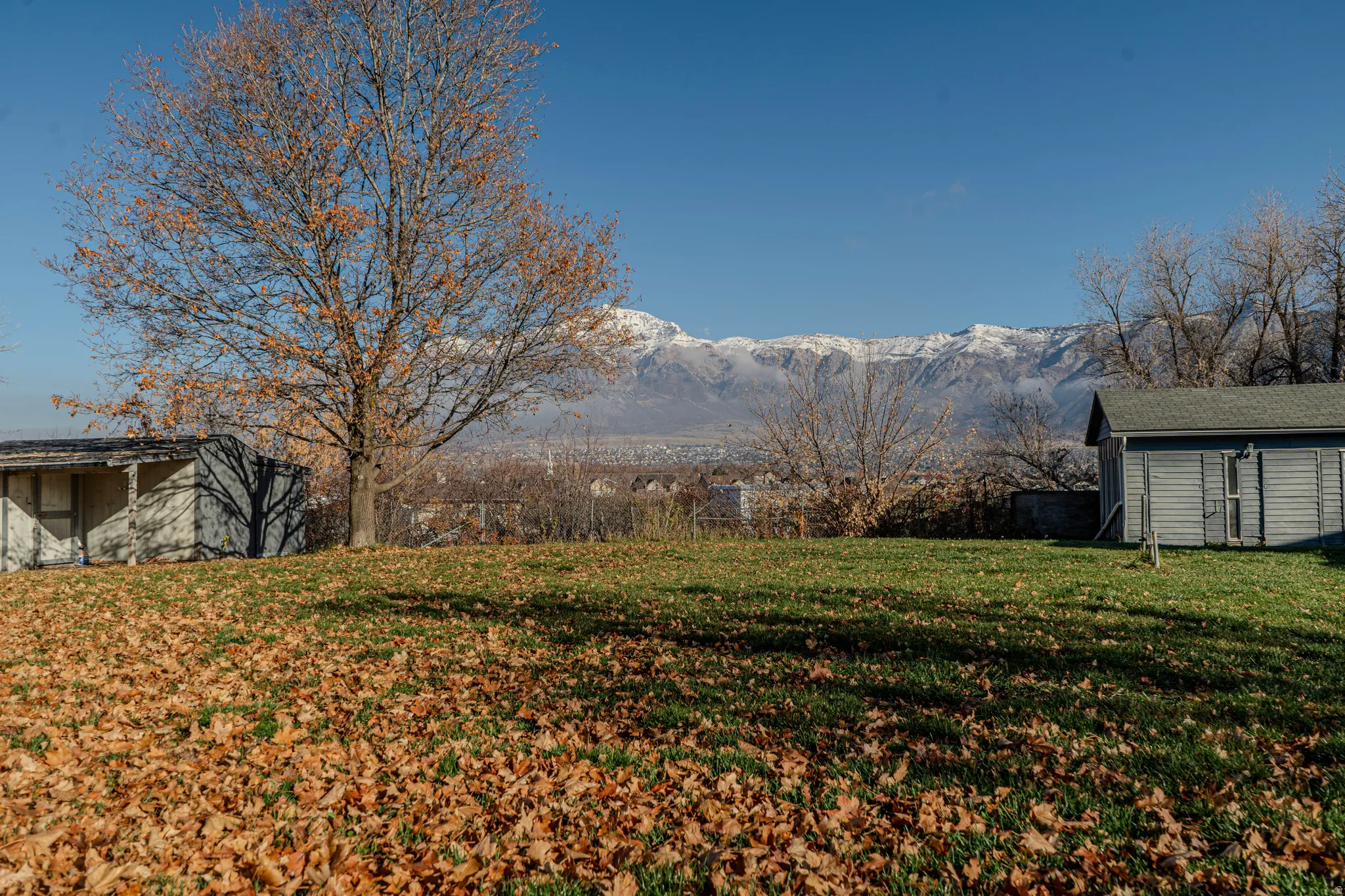 View of green lawn featuring a shed and the view of Harrisville Park and Ben Lomond Mountain