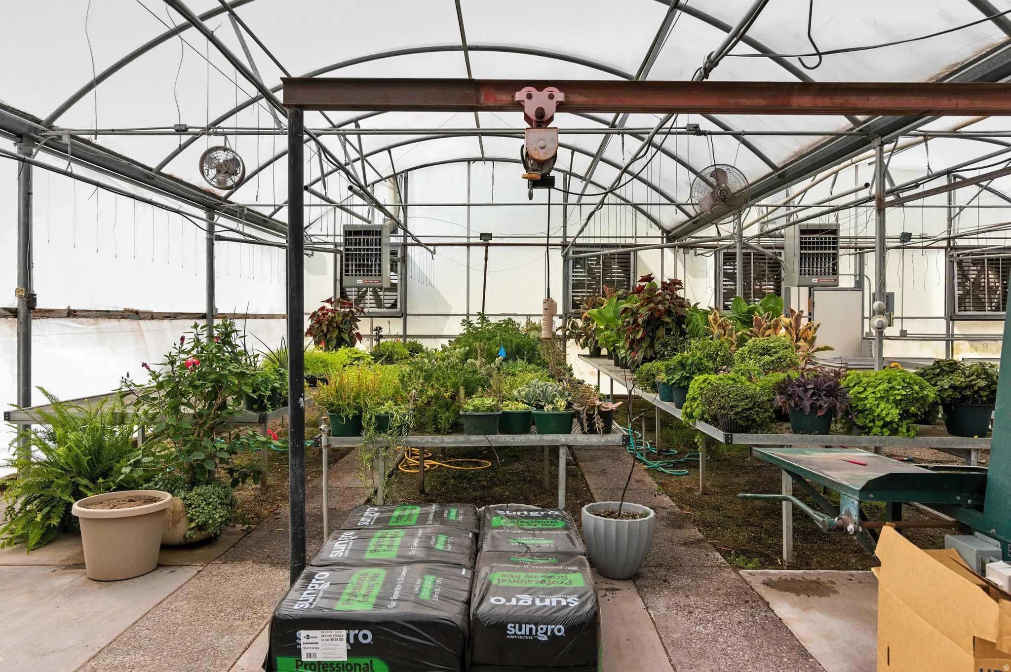Main green house